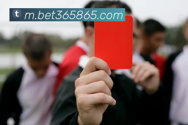 bet365中国官网APP 封面图
